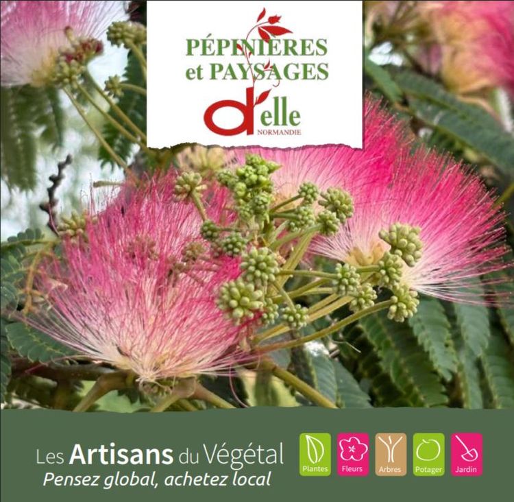 HPF Livret printemps 2026 page 1